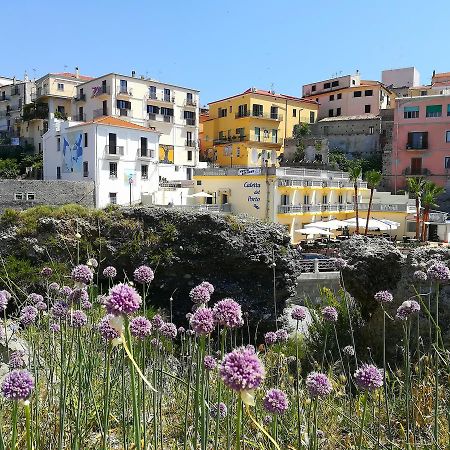 Caletta Del Porto Bed and Breakfast Diamante Εξωτερικό φωτογραφία