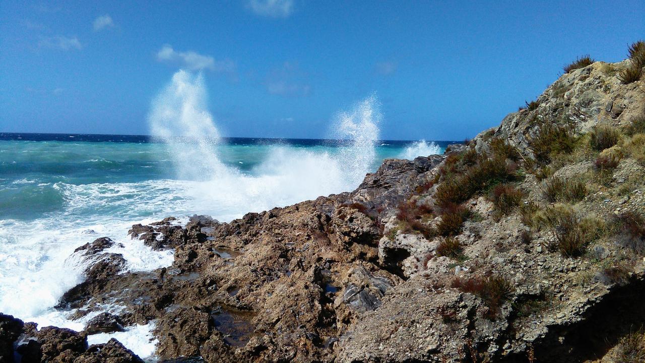 Caletta Del Porto Bed and Breakfast Diamante Εξωτερικό φωτογραφία