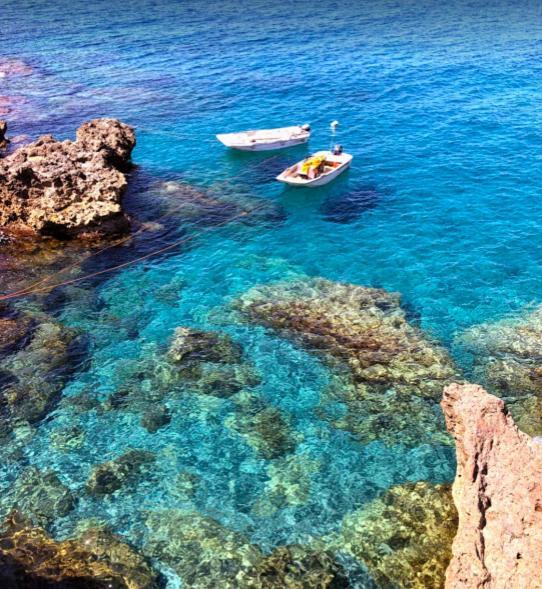 Caletta Del Porto Bed and Breakfast Diamante Εξωτερικό φωτογραφία